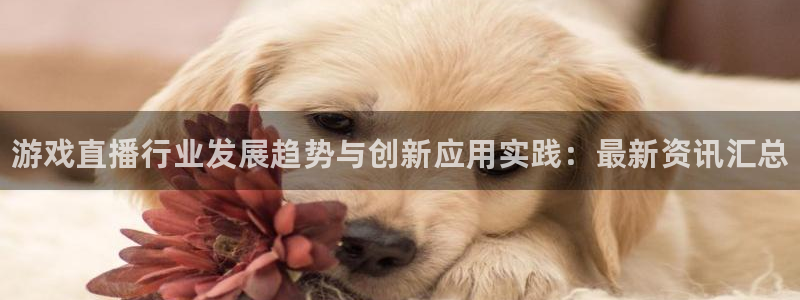赢咖娱乐登录网址：游戏直播行业发展趋势与创新应用实践：最新资