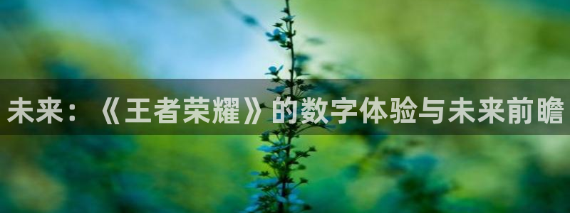 赢咖娱乐平台：未来：《王者荣耀》的数字体验与未来前瞻