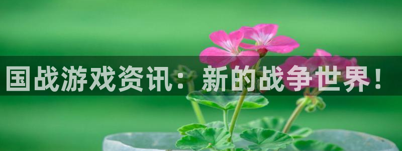 赢咖娱乐平台官网登录：国战游戏资讯：新的战争世界！