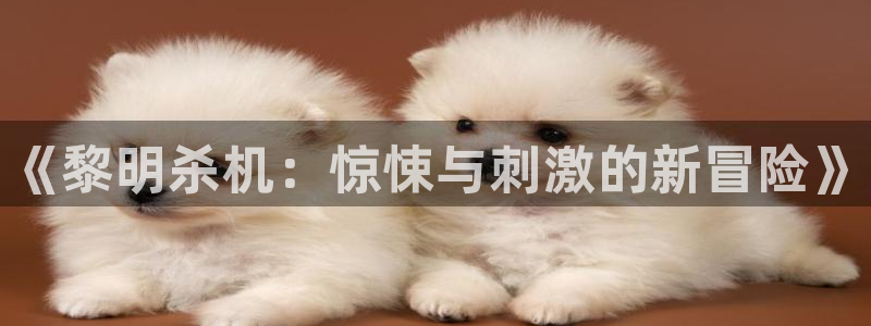 赢咖娱乐注册登录平台：《黎明杀机：惊悚与刺激的新冒险》