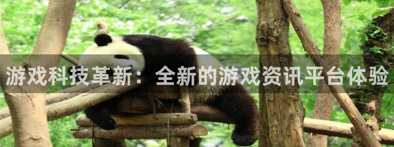 赢咖娱乐升级5994月：游戏科技革新：全新的游戏资讯平台体验