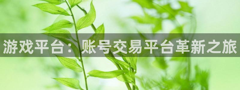 赢咖娱乐4招商：游戏平台：账号交易平台革新之旅