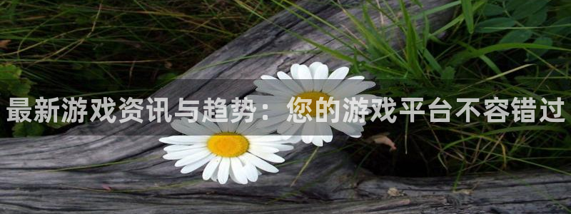 赢咖娱乐app下载|下载地址：最新游戏资讯与趋势：您的游戏平