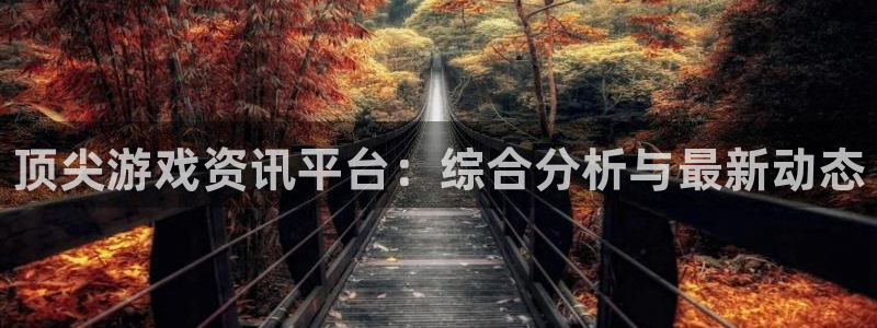 赢咖娱乐平台官方网站：顶尖游戏资讯平台：综合分析与最新动态
