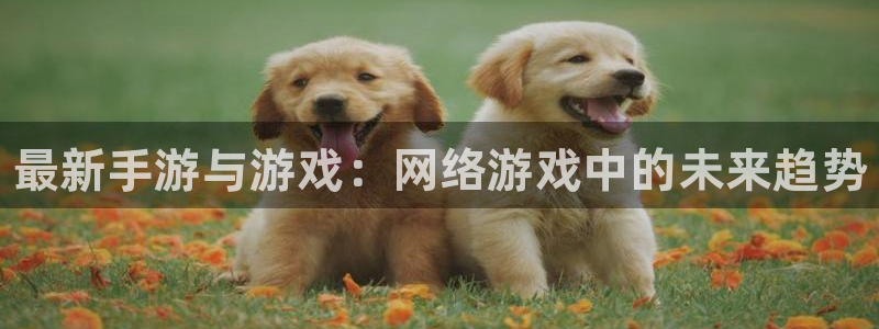赢咖娱乐网页版地址