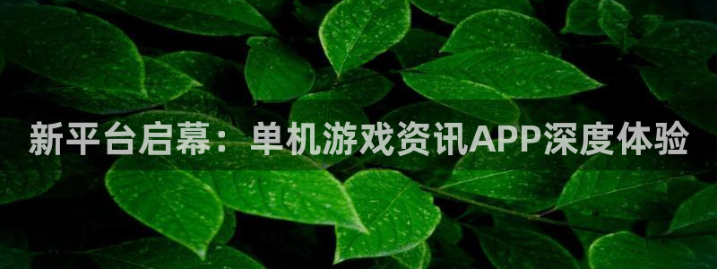 赢咖娱乐官方注册登录：新平台启幕：单机游戏资讯APP深度体验