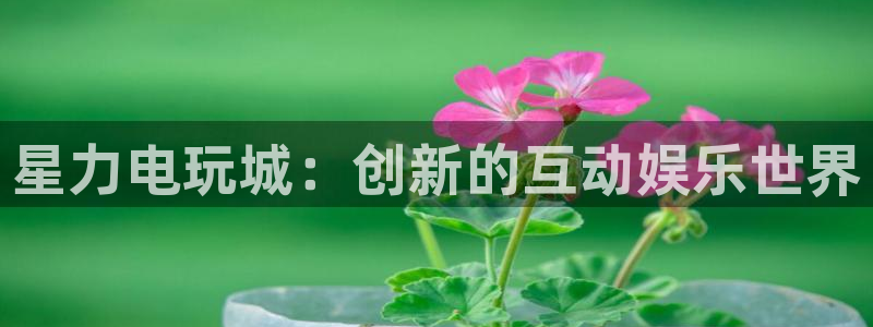 赢咖娱乐网页登录入口下载：星力电玩城：创新的互动娱乐世界