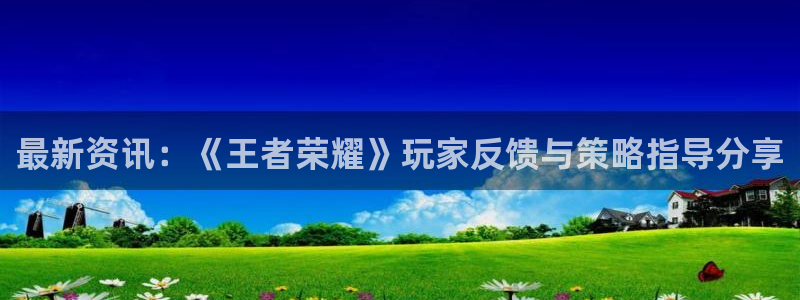 赢咖娱乐网页登录入口下载：最新资讯：《王者荣耀》玩家反馈与策