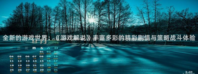 赢咖娱乐app下载：全新的游戏世界：《游戏解说》丰富多彩的精