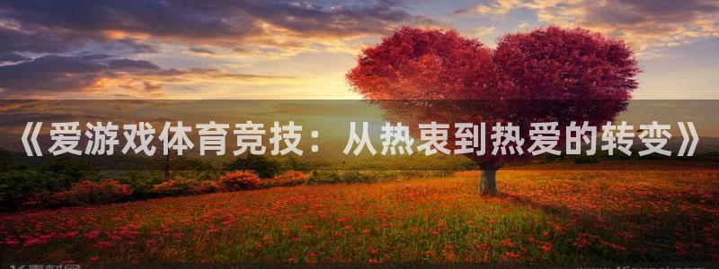 赢咖娱乐网页登录入口：《爱游戏体育竞技：从热衷到热爱的转变》