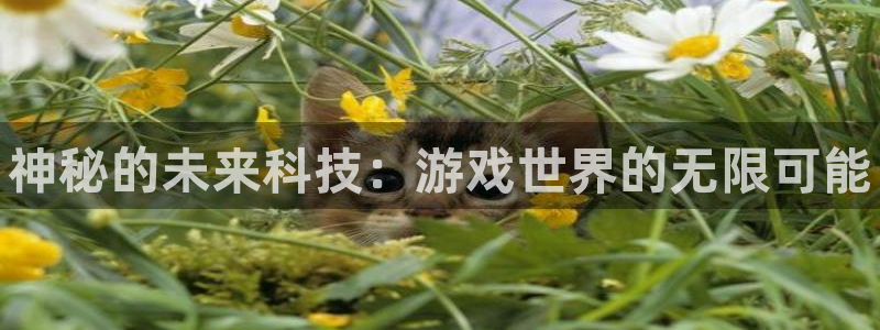 赢咖娱乐注册开户：神秘的未来科技：游戏世界的无限可能