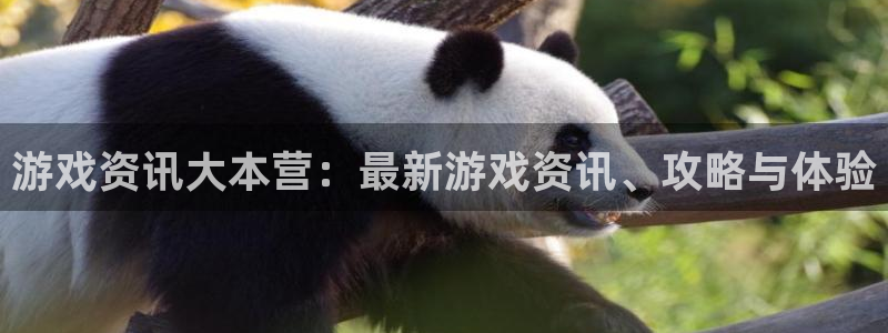赢咖娱乐2登录：游戏资讯大本营：最新游戏资讯、攻略与体验