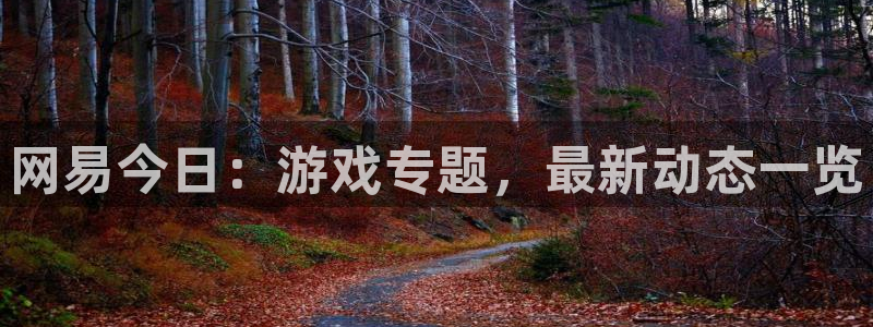赢咖娱乐升级5994月：网易今日：游戏专题，最新动态一览