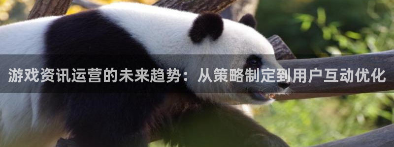 赢咖娱乐登录网址：游戏资讯运营的未来趋势：从策略制定到用户互