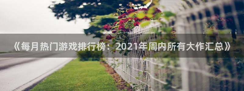 赢咖娱乐什么意思：《每月热门游戏排行榜：2021年周内所有大