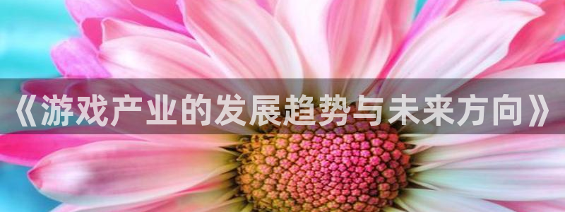赢咖娱乐平台注册资金多少：《游戏产业的发展趋势与未来方向》