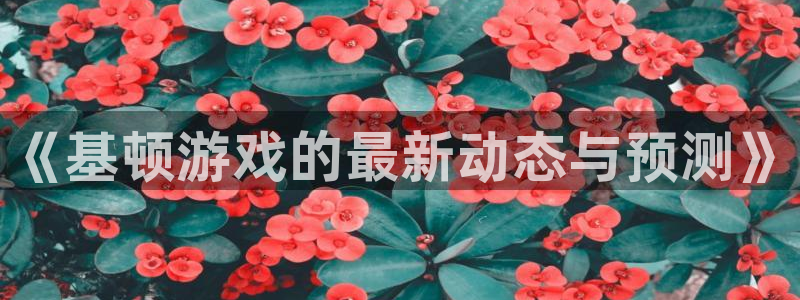 赢咖娱乐平台官网注册：《基顿游戏的最新动态与预测》