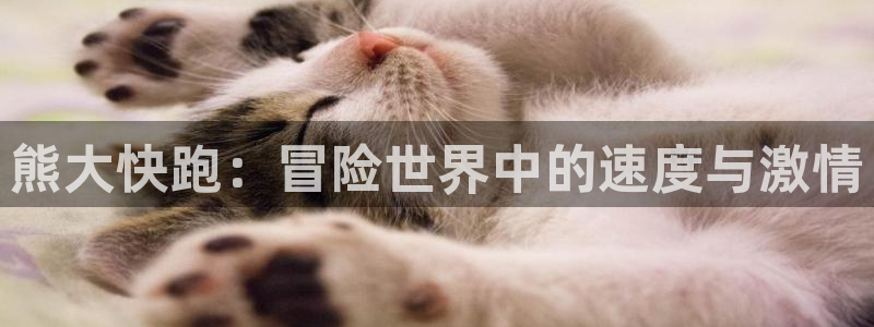赢咖娱乐平台官方网站：熊大快跑：冒险世界中的速度与激情