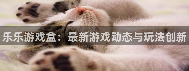 赢咖娱乐集团：乐乐游戏盒：最新游戏动态与玩法创新