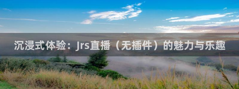 833足球直播比赛在线观看