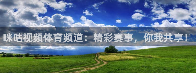 833足球直播在线观看