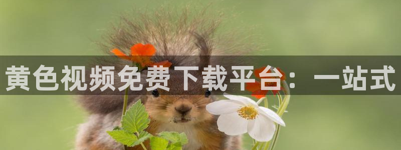 833直播比赛在线观看