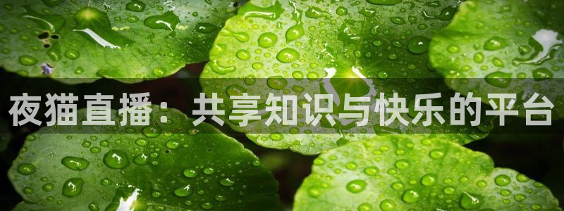 833直播体育nba：夜猫直播：共享知识与快乐的平台