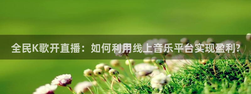 足球比赛直播间833：全民K歌开直播：如何利用线上音乐平台实现盈利?