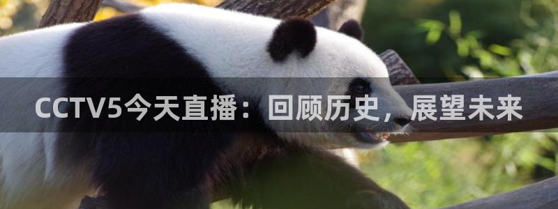 833足球比赛免费直播：CCTV5今天直播：回顾历史，展望未来
