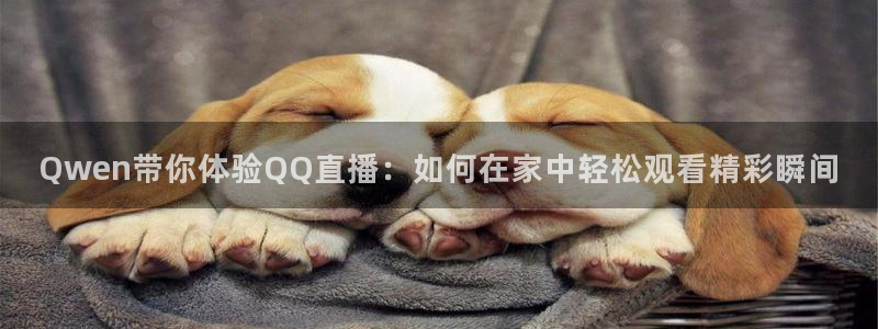 833足球比赛直播免费观看：Qwen带你体验QQ直播：如何在家中轻松观看精彩瞬间