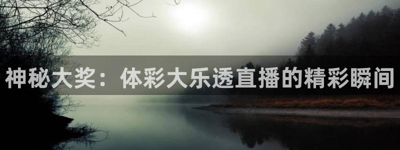 833篮球直播在线直播观看免费：神秘大奖：体彩大乐透直播的精彩瞬间