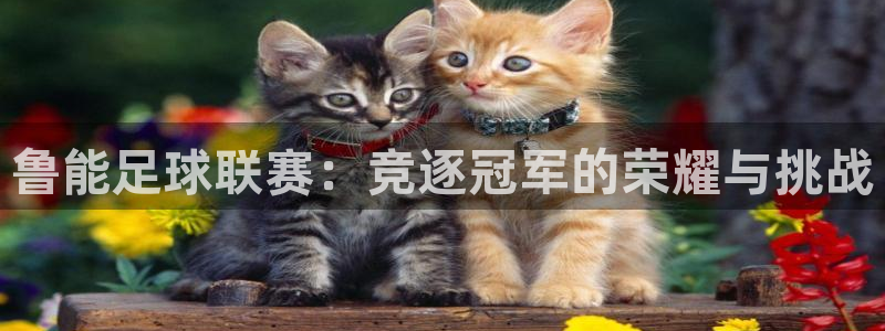 833足球直播平台：鲁能足球联赛：竞逐冠军的荣耀与挑战