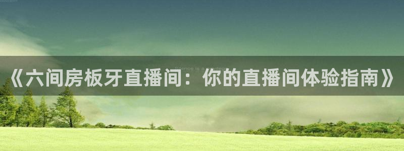 833nba直播在线观看免费：《六间房板牙直播间：你的直播间体验指南》