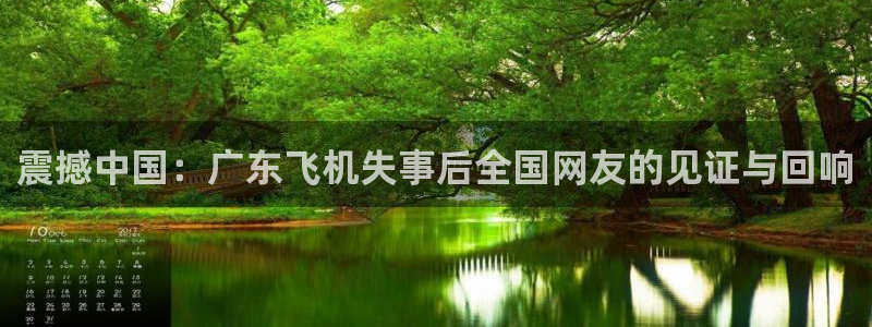 833直播比赛在线观看：震撼中国：广东飞机失事后全国网友的见证与回响