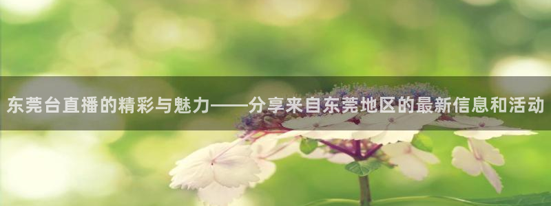 833直播体育免费观看：东莞台直播的精彩与魅力——分享来自东莞地区的最新信息和活动