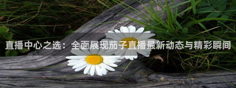 nba833直播免费观看直播在线：直播中心之选：全面展现茄子直播最新动态与精彩瞬间