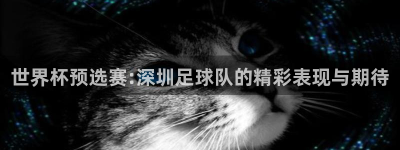 833体育赛事直播app：世界杯预选赛:深圳足球队的精彩表现与期待
